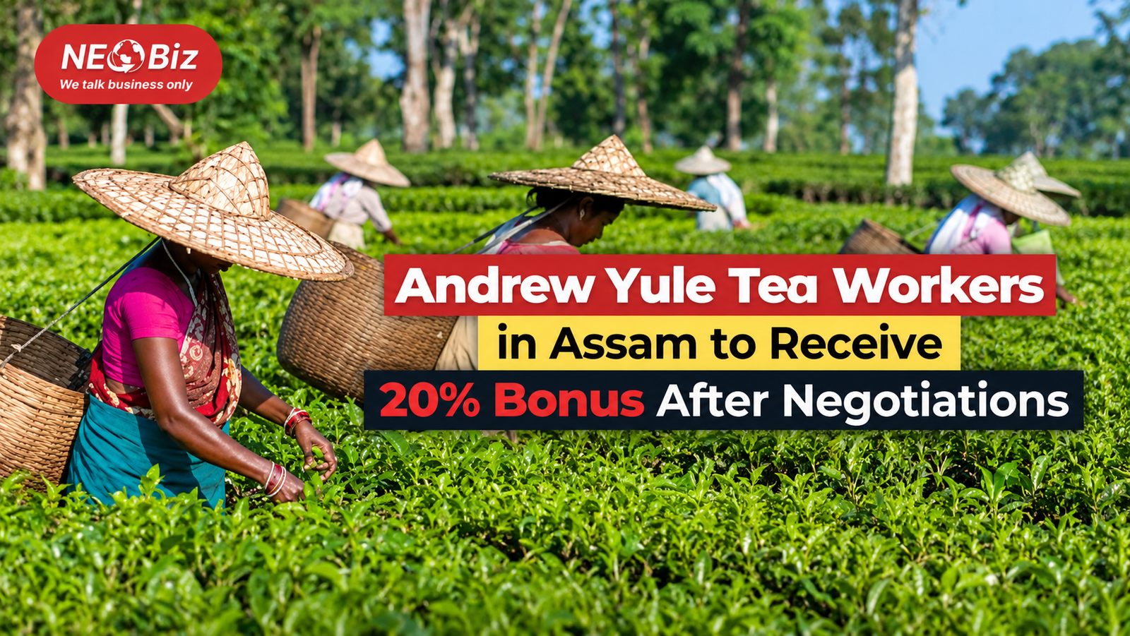 Andrew Yule Tea Workers in  Assam to Receive 20% Bonus  After Negotiations